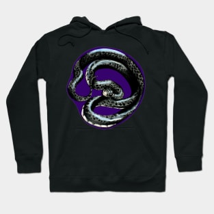 Black rat snake Hoodie